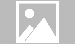 哈密瓜视频,探寻瓜果之王的魅力与奥秘